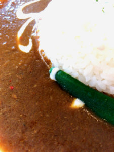 おくみのツインカレー