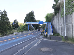 半分青い歩道橋