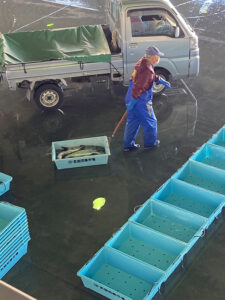 気仙沼魚市場